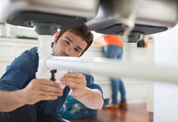 Best Clogged Drain Plumber  in Elk Creek, KY